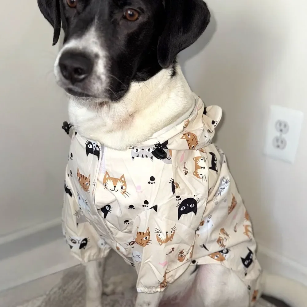 Stylish Cream Dog Raincoat with Cat Print